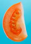 Tomato wedge