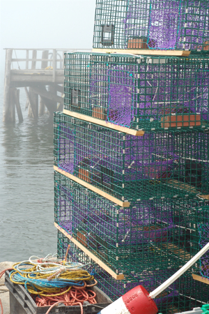 lobster_traps