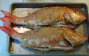 fish_marinating