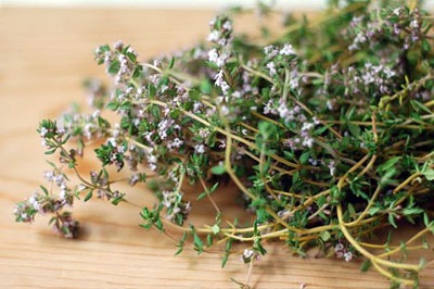 thyme1.jpg