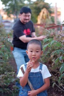 sebastopol-gardenstroll.jpg